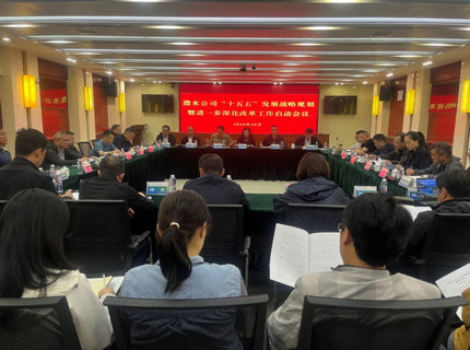 澧水公司召開“十五五”發(fā)展戰(zhàn)略規(guī)劃暨進(jìn)一步深化改革工作啟動會
