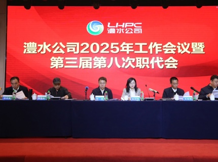 澧水公司召開(kāi)2025年工作會(huì)議暨第三屆第八次職代會(huì)